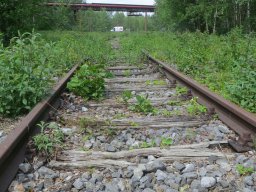 Schalke und Zollverein